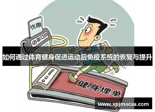 如何通过体育健身促进运动后免疫系统的恢复与提升