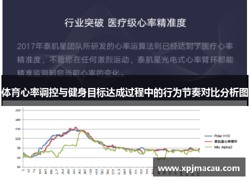 体育心率调控与健身目标达成过程中的行为节奏对比分析图
