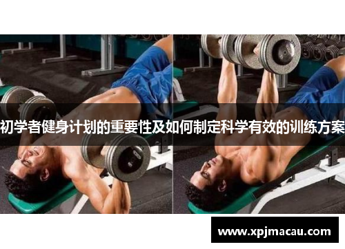 初学者健身计划的重要性及如何制定科学有效的训练方案